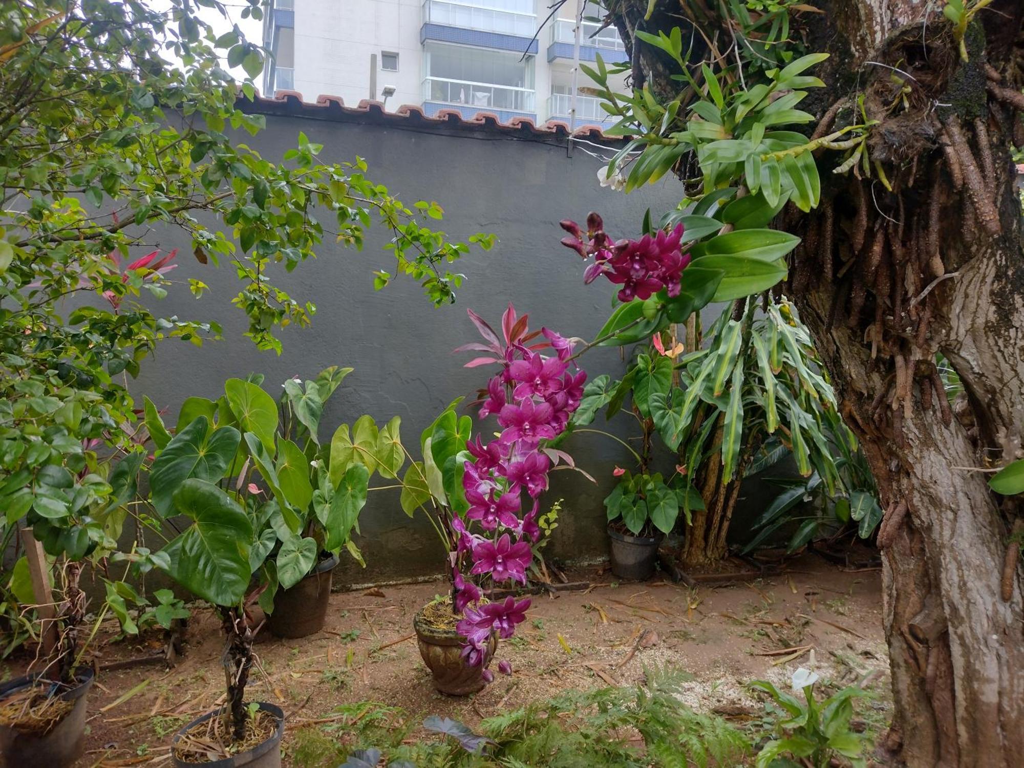 Hostel Le Castelle คารากัวตาตูบา ภายนอก รูปภาพ